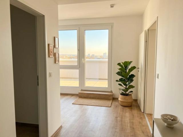 Apartment mieten in Wiener Neustadt, Niederösterreich