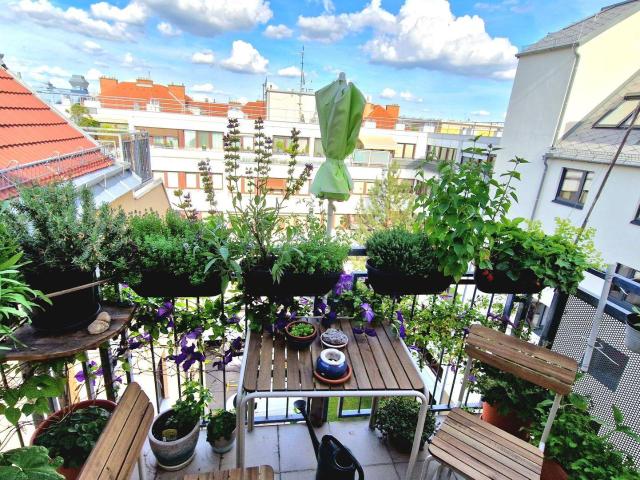 Apartment mieten in KG Fünfhaus, Wien