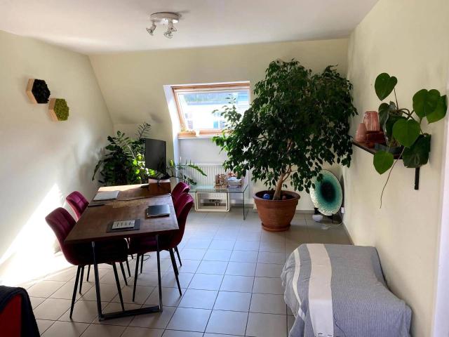 Apartment mieten in KG Mariahilf, Wien