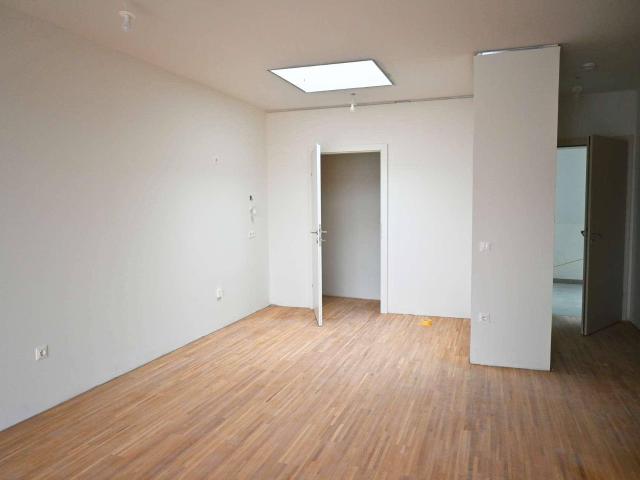 Apartment kaufen in Mistelbach, Bezirk Mistelbach