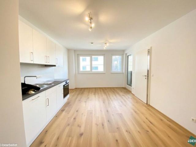 Apartment mieten in KG Hütteldorf, Wien