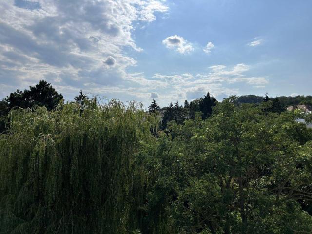 Apartment kaufen in Hietzing, Wien