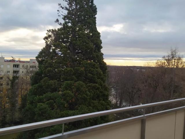 Apartment mieten in Baden, Niederösterreich