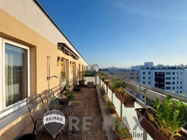 Apartment mieten in Donaustadt, Wien