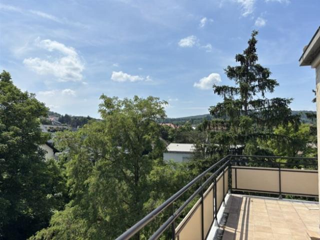 Terrassenwohnung mieten in Wien