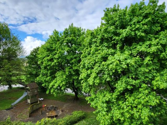 Wohnung kaufen in Bex, Waadt