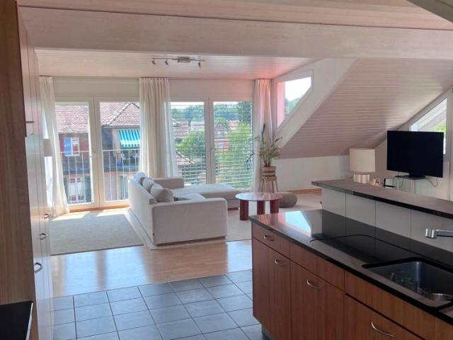 Apartment mieten in Hirslanden, Zürich