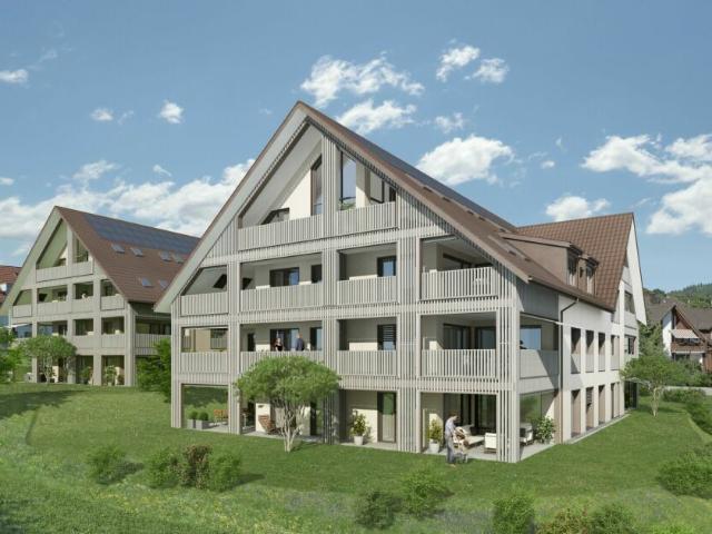 Dachwohnung kaufen in Russikon, Zürich