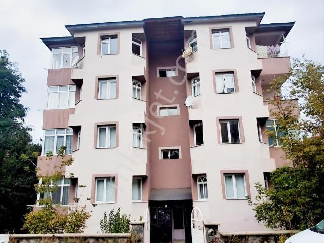 Bilali Habeş, Aziziye içerisinde kiralık mülk