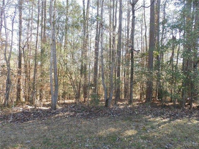 Land for sale in Alberta, Alabama