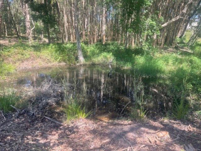 Land for sale in Toombul, Queensland