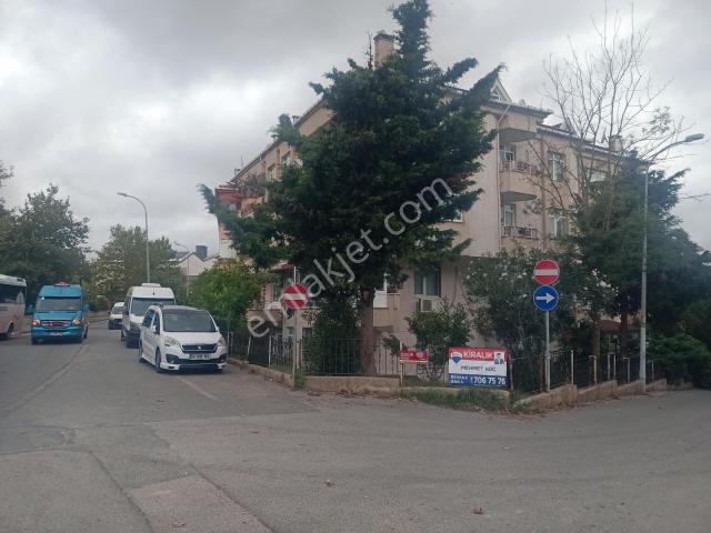 Çavuş Mahallesi, Şile içerisinde kiralık mülk