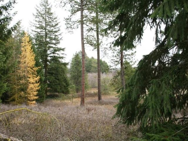 Land for sale in Deer Park, Washington