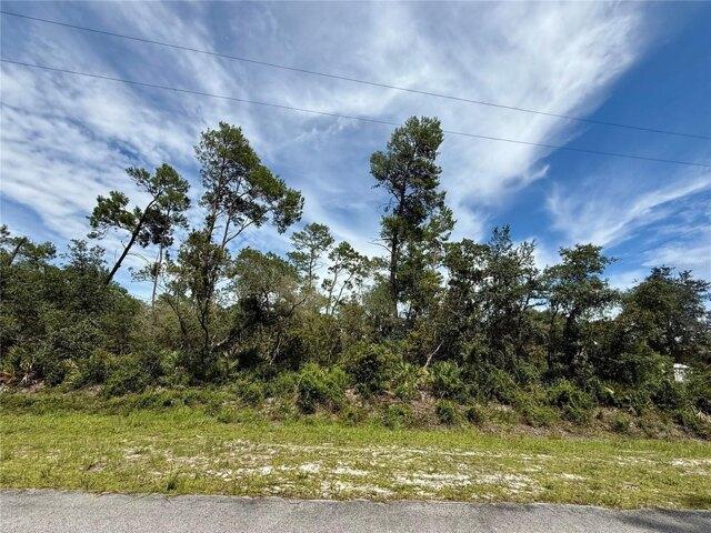 Land for sale in Eustis Land for sale in Eustis