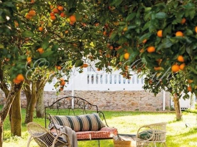 Bodrum, Muğla içerisinde satılık mülk