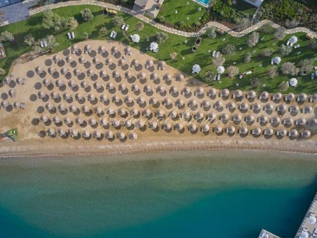 Bodrum, Muğla içerisinde satılık mülk