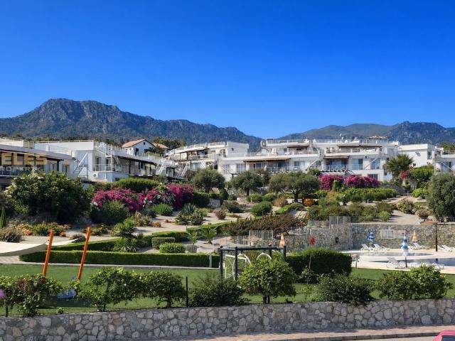 kiralık mülk