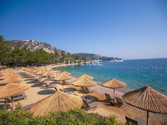 Bodrum, Muğla içerisinde satılık mülk
