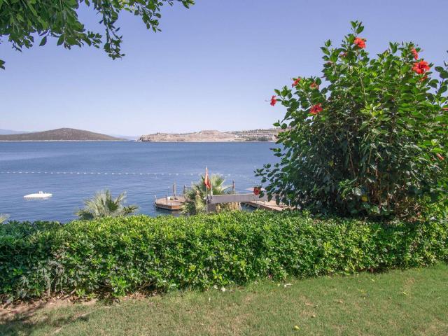 Bodrum, Muğla içerisinde satılık mülk