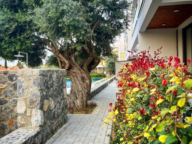 Alsancak, Akçaabat içerisinde satılık mülk