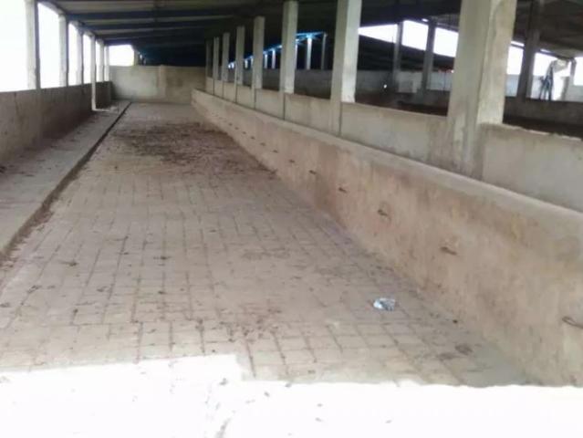 Commercial for rent in انچولی, کراچی ڈویژن