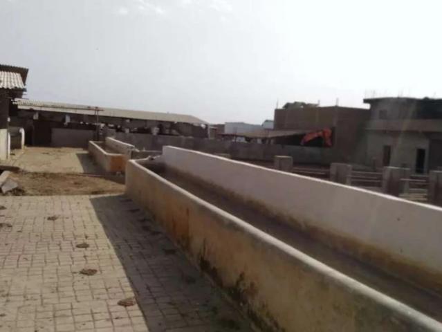 Commercial for rent in North Waziristan, Federally Administered Tribal Areas fata