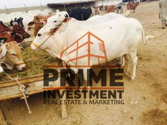 Land for sale in ضلع اورنگی, کراچی ڈویژن