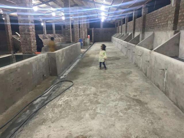 Commercial for sale in Federally Administered Tribal Areas fata