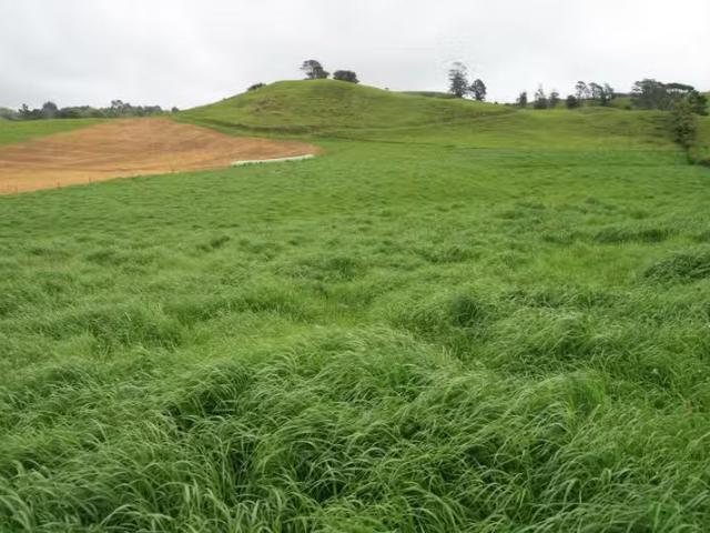 House for rent in Lepperton, Taranaki