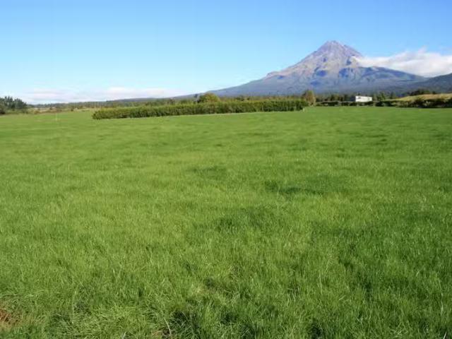 House for rent in Taranaki