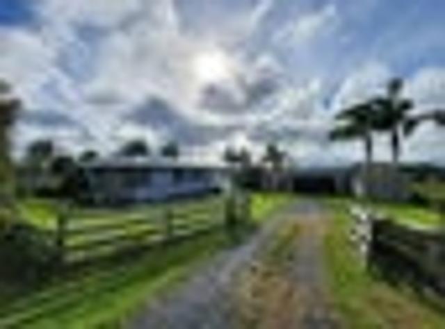 House for rent in Kawau Island