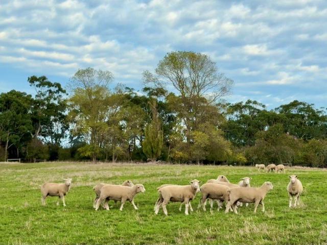Cottage for sale in South Purrumbete, Victoria
