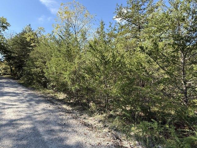 Land for sale in Stone, Missouri