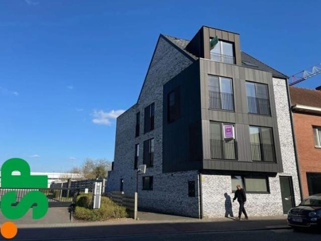 Kot location à Geel, Antwerpen