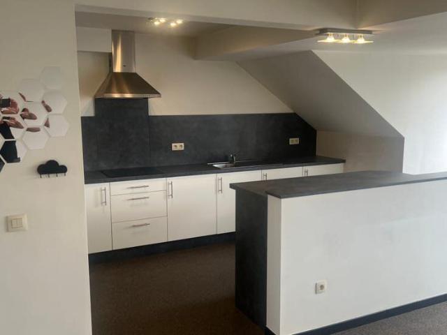 Kot location à Maaseik, Limburg