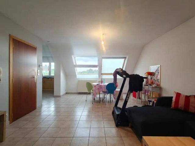 Appartement location à Berlare, Oost-Vlaanderen