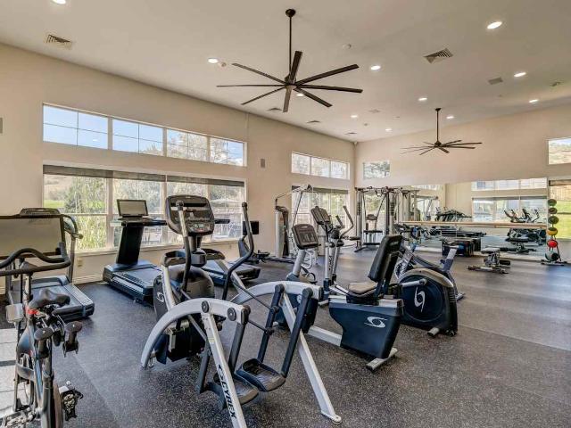 Apartment for rent in Fort Collins, Colorado