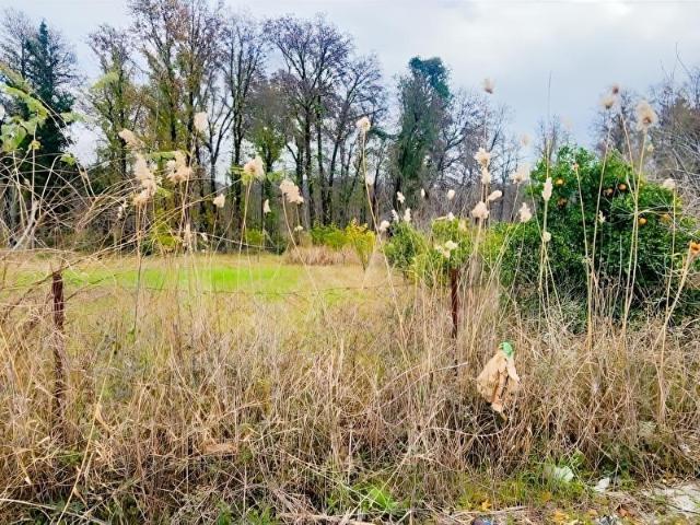 Dalaman, Muğla içerisinde satılık Arsa
