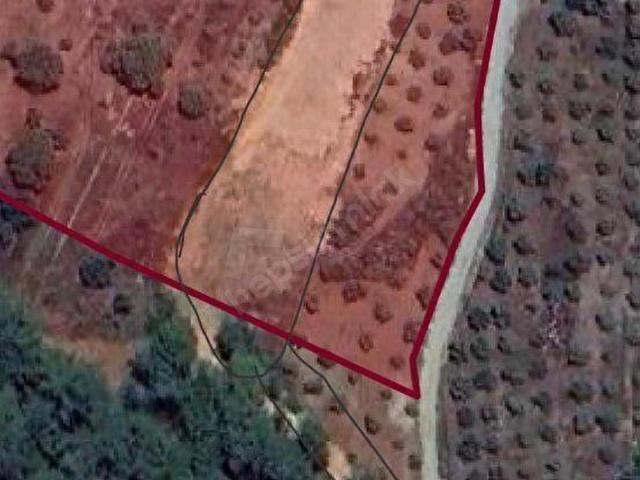 Dalaman, Muğla içerisinde satılık Arsa