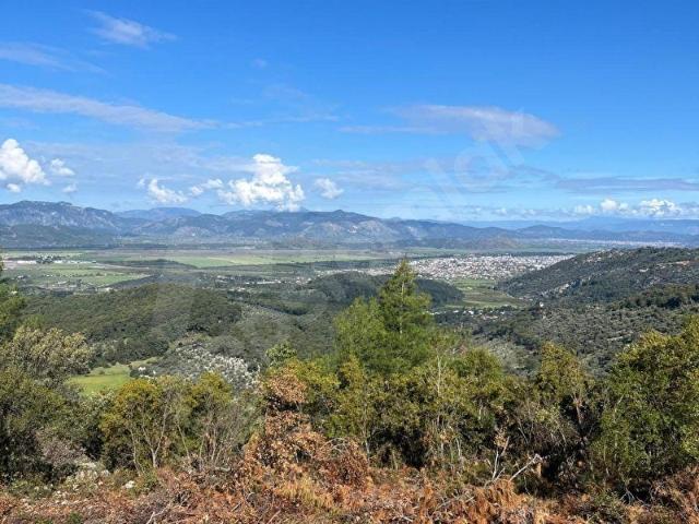 Dalaman, Muğla içerisinde satılık mülk