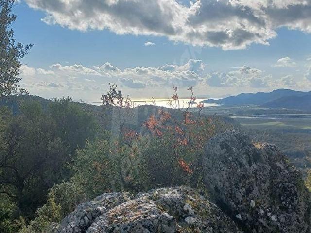 Dalaman, Muğla içerisinde satılık mülk