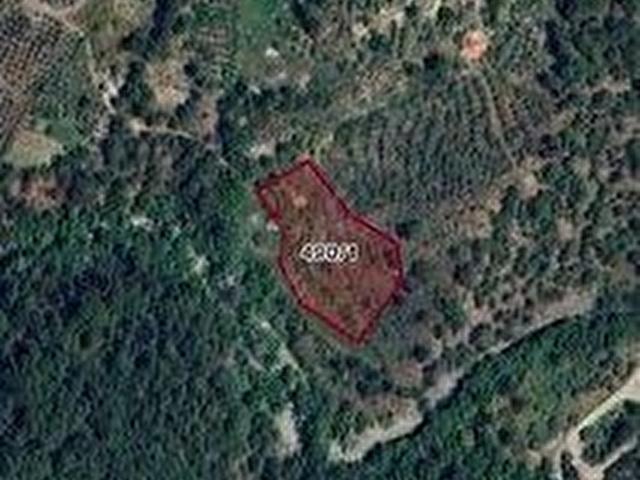 Dalaman, Muğla içerisinde satılık Arsa