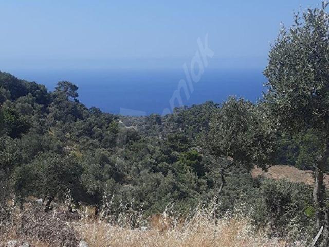 Dalaman, Muğla içerisinde satılık mülk