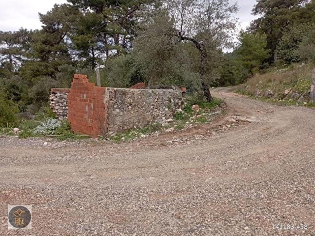 Dalaman, Muğla içerisinde satılık Arsa