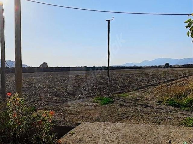 Dalaman, Muğla içerisinde satılık Arsa