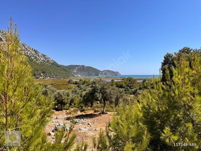Dalaman, Muğla içerisinde satılık Arsa