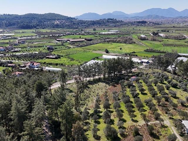 Dalaman, Muğla içerisinde satılık Arsa