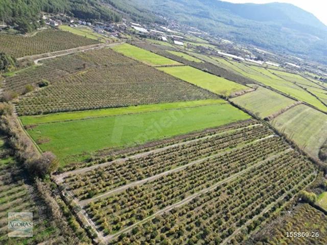 Dalaman, Muğla içerisinde satılık Arsa