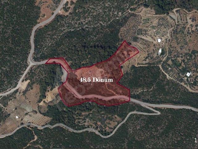 Dalaman, Muğla içerisinde satılık Arsa