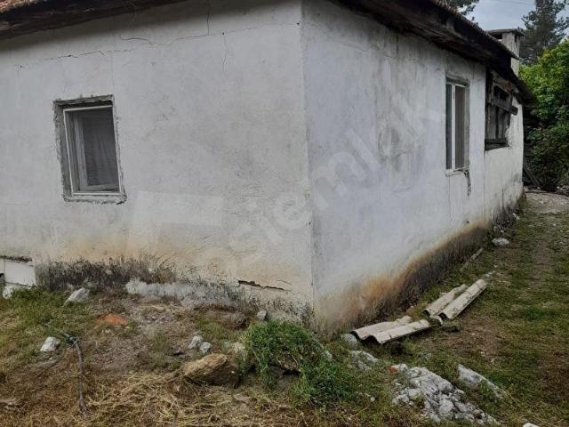 Dalaman, Muğla içerisinde satılık mülk